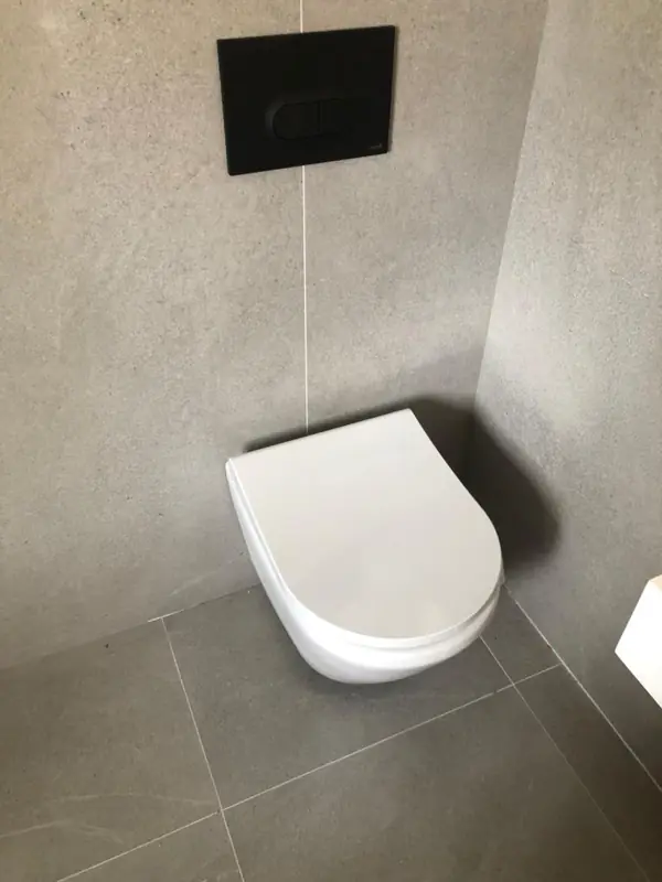 Wall hung toilet with concealed cistern