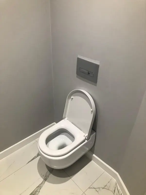 New rimless toilet in a grey bathroom